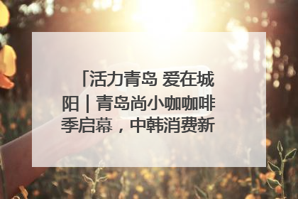 活力青岛 爱在城阳｜青岛尚小咖咖啡季启幕，中韩消费新场景点燃夏日热情