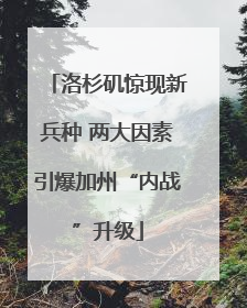 洛杉矶惊现新兵种 两大因素引爆加州“内战”升级