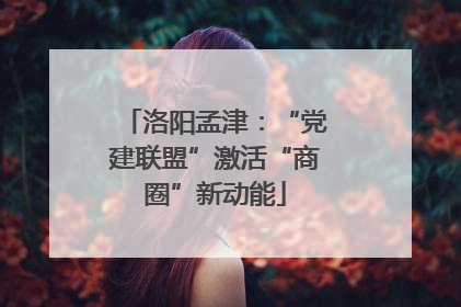 洛阳孟津：“党建联盟”激活“商圈”新动能