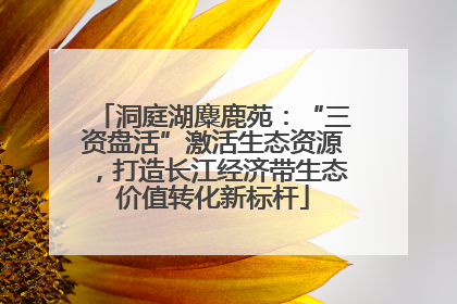 洞庭湖麋鹿苑：“三资盘活”激活生态资源，打造长江经济带生态价值转化新标杆