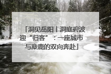 洞见岳阳丨洞庭碧波迎“归客”：一座城市与麋鹿的双向奔赴