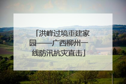 洪峰过境重建家园——广西柳州一线防汛抗灾直击