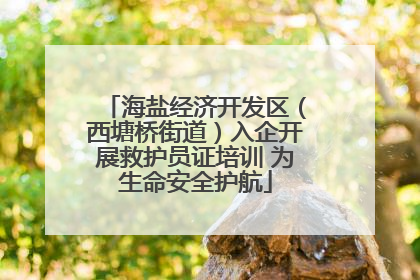 海盐经济开发区（西塘桥街道）入企开展救护员证培训 为生命安全护航