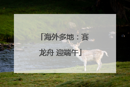 海外多地：赛龙舟 迎端午