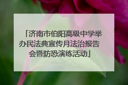 济南市伯阳高级中学举办民法典宣传月法治报告会暨防恐演练活动