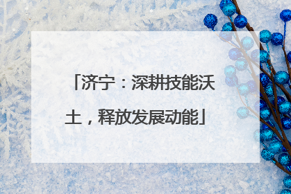 济宁：深耕技能沃土，释放发展动能