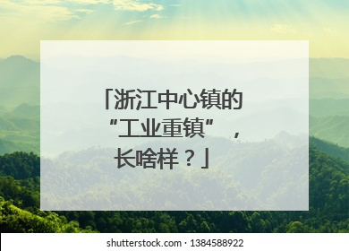 浙江中心镇的“工业重镇”，长啥样？