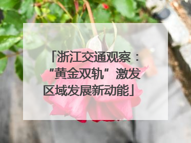 浙江交通观察：“黄金双轨”激发区域发展新动能