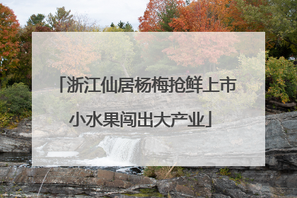 浙江仙居杨梅抢鲜上市 小水果闯出大产业