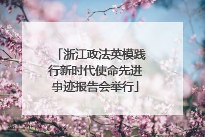 浙江政法英模践行新时代使命先进事迹报告会举行