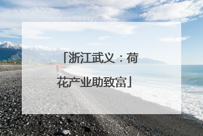 浙江武义：荷花产业助致富