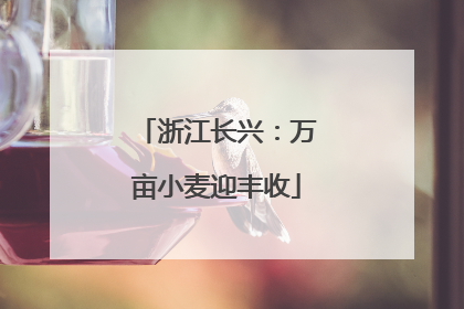 浙江长兴：万亩小麦迎丰收