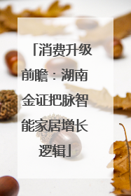 消费升级前瞻：湖南金证把脉智能家居增长逻辑