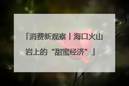 消费新观察丨海口火山岩上的“甜蜜经济”