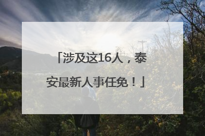 涉及这16人，泰安最新人事任免！