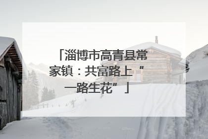淄博市高青县常家镇：共富路上“一路生花”