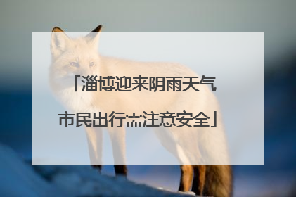 淄博迎来阴雨天气 市民出行需注意安全