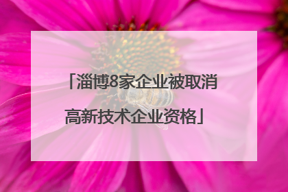 淄博8家企业被取消高新技术企业资格
