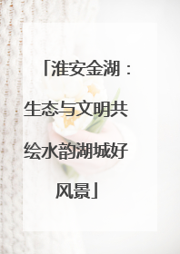 淮安金湖：生态与文明共绘水韵湖城好风景
