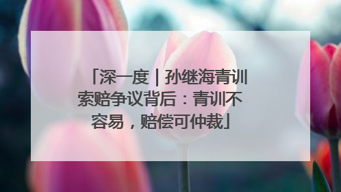 深一度｜孙继海青训索赔争议背后：青训不容易，赔偿可仲裁