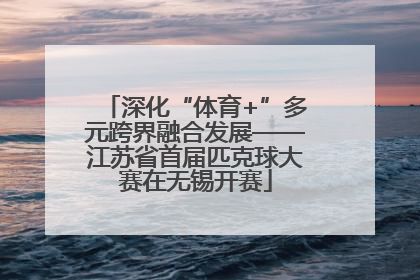 深化“体育+”多元跨界融合发展——江苏省首届匹克球大赛在无锡开赛