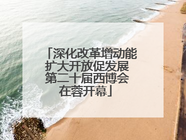 深化改革增动能 扩大开放促发展 第二十届西博会在蓉开幕