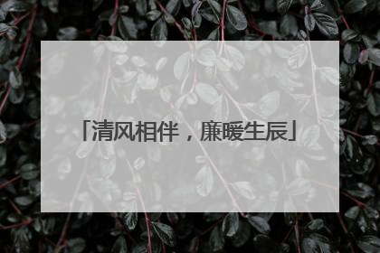 清风相伴，廉暖生辰