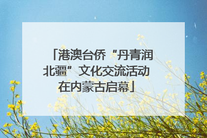 港澳台侨“丹青润北疆”文化交流活动在内蒙古启幕