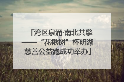 湾区泉涌·南北共擎——“花楸树”杯明湖慈善公益跑成功举办