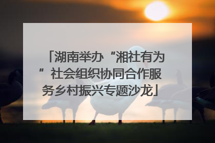 湖南举办“湘社有为”社会组织协同合作服务乡村振兴专题沙龙