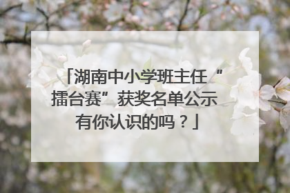湖南中小学班主任“擂台赛”获奖名单公示 有你认识的吗？