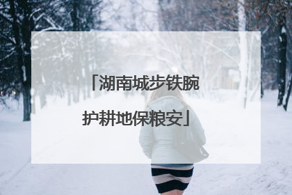 湖南城步铁腕护耕地保粮安
