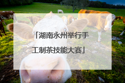 湖南永州举行手工制茶技能大赛