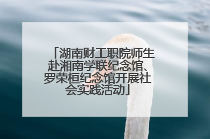 湖南财工职院师生赴湘南学联纪念馆、罗荣桓纪念馆开展社会实践活动
