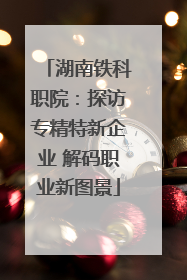 湖南铁科职院：探访专精特新企业 解码职业新图景