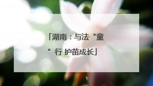 湖南：与法“童”行 护苗成长