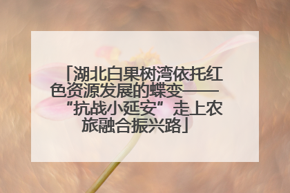 湖北白果树湾依托红色资源发展的蝶变——“抗战小延安”走上农旅融合振兴路