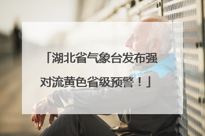 湖北省气象台发布强对流黄色省级预警！