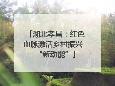 湖北孝昌：红色血脉激活乡村振兴“新动能”