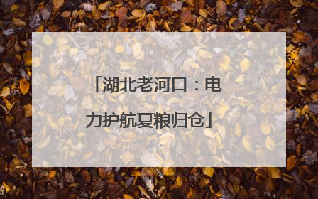 湖北老河口：电力护航夏粮归仓