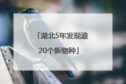 湖北5年发现逾20个新物种