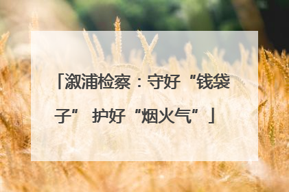 溆浦检察：守好“钱袋子” 护好“烟火气”