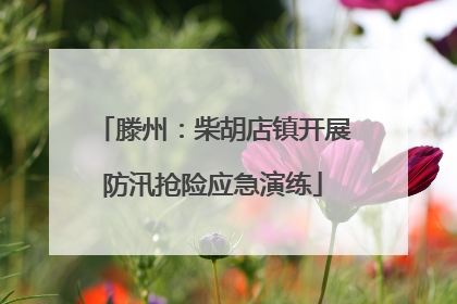 滕州：柴胡店镇开展防汛抢险应急演练