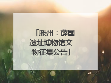 滕州：薛国遗址博物馆文物征集公告