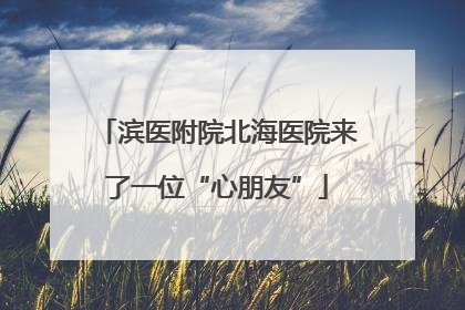 滨医附院北海医院来了一位“心朋友”