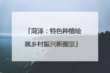 菏泽：特色种植绘就乡村振兴新图景