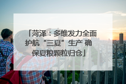 菏泽：多维发力全面护航“三夏”生产 确保夏粮颗粒归仓