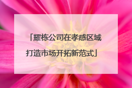耀栋公司在孝感区域打造市场开拓新范式