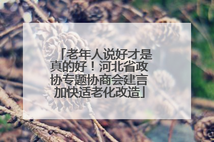 老年人说好才是真的好！河北省政协专题协商会建言加快适老化改造