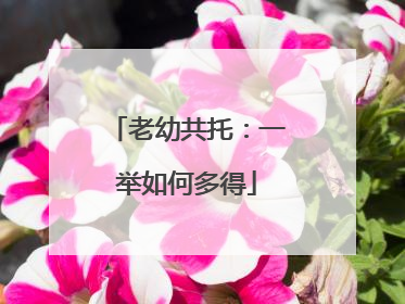 老幼共托：一举如何多得